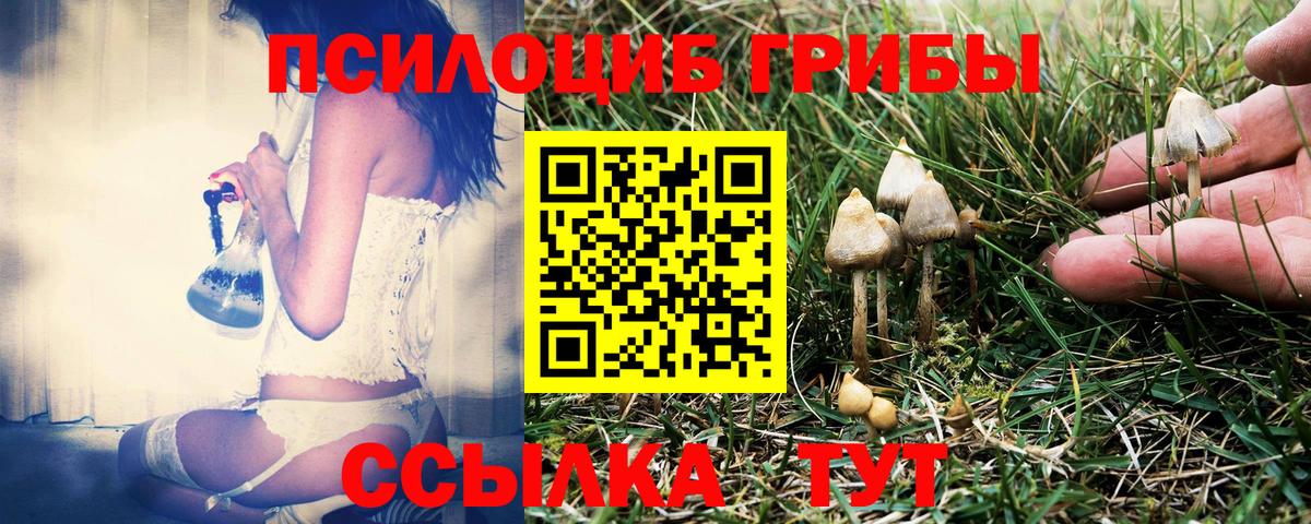 Псилоцибиновые грибы GOLDEN TEACHER Екатеринбург