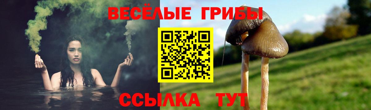Псилоцибиновые грибы Magic Shrooms  Вход с VPN  Екатеринбург 